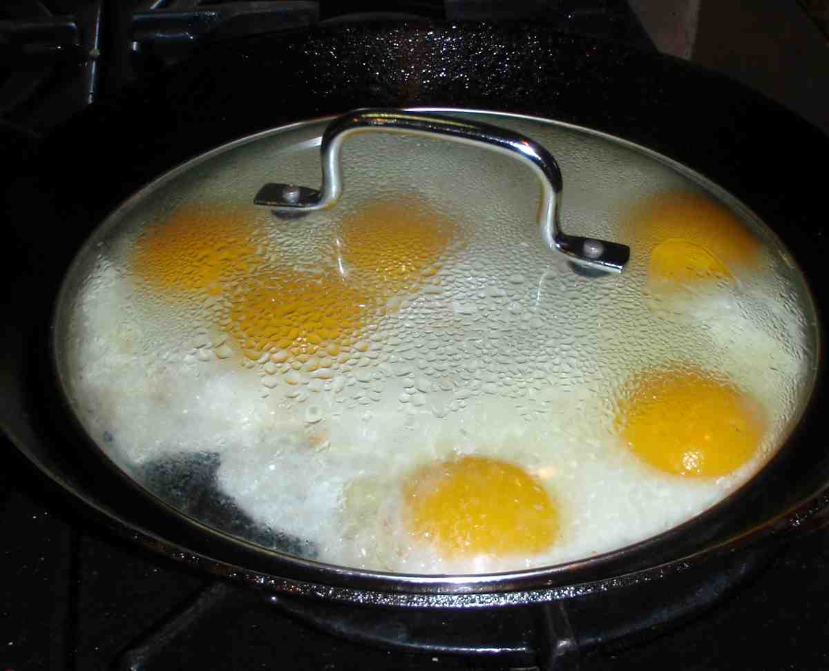 Eggs 3